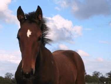 Screen shot 2013-06-19 at 08.52.40