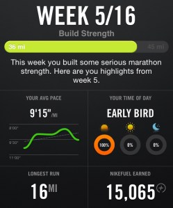 Paris Marathon Training Week 5
